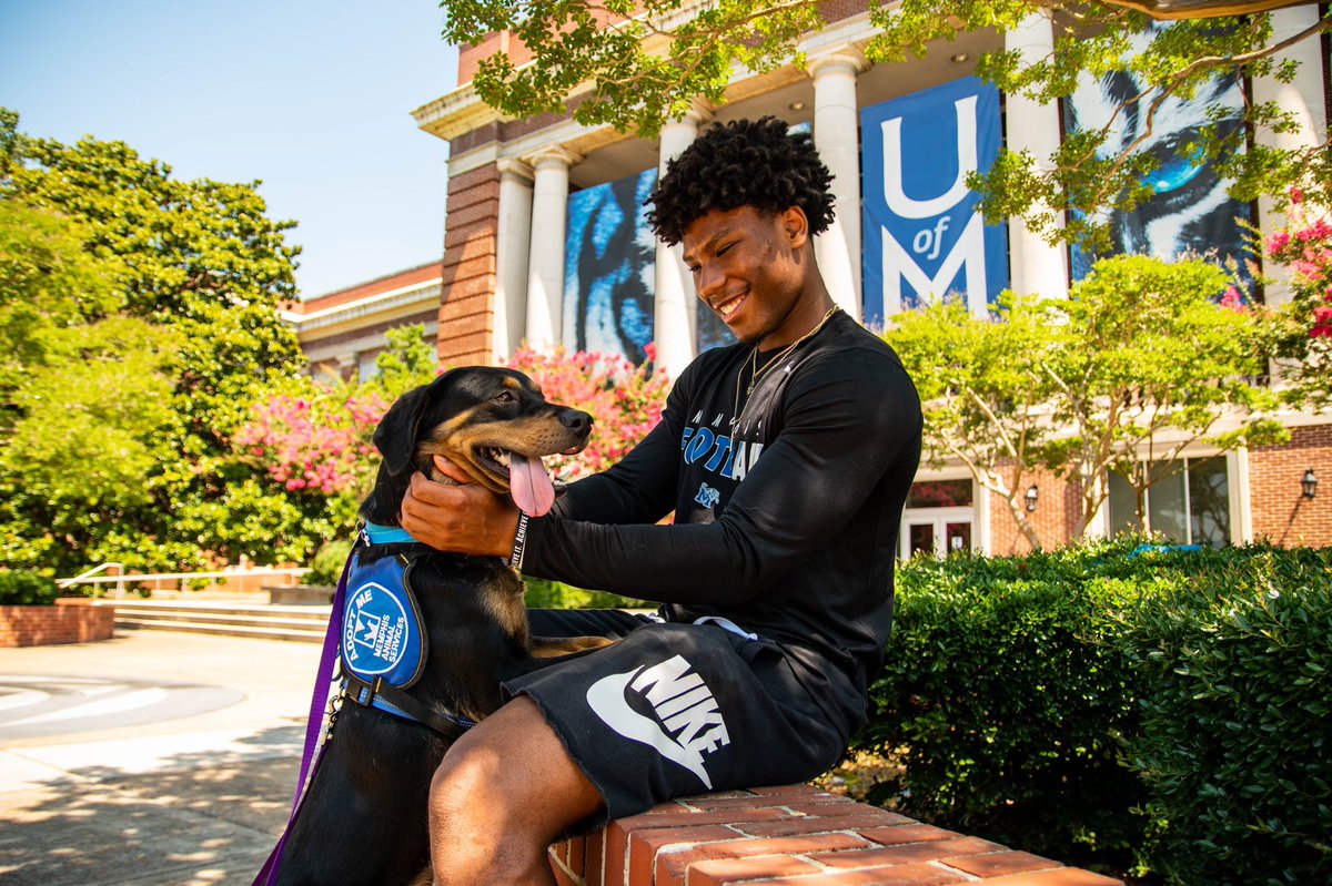 Memphis Football tweet media