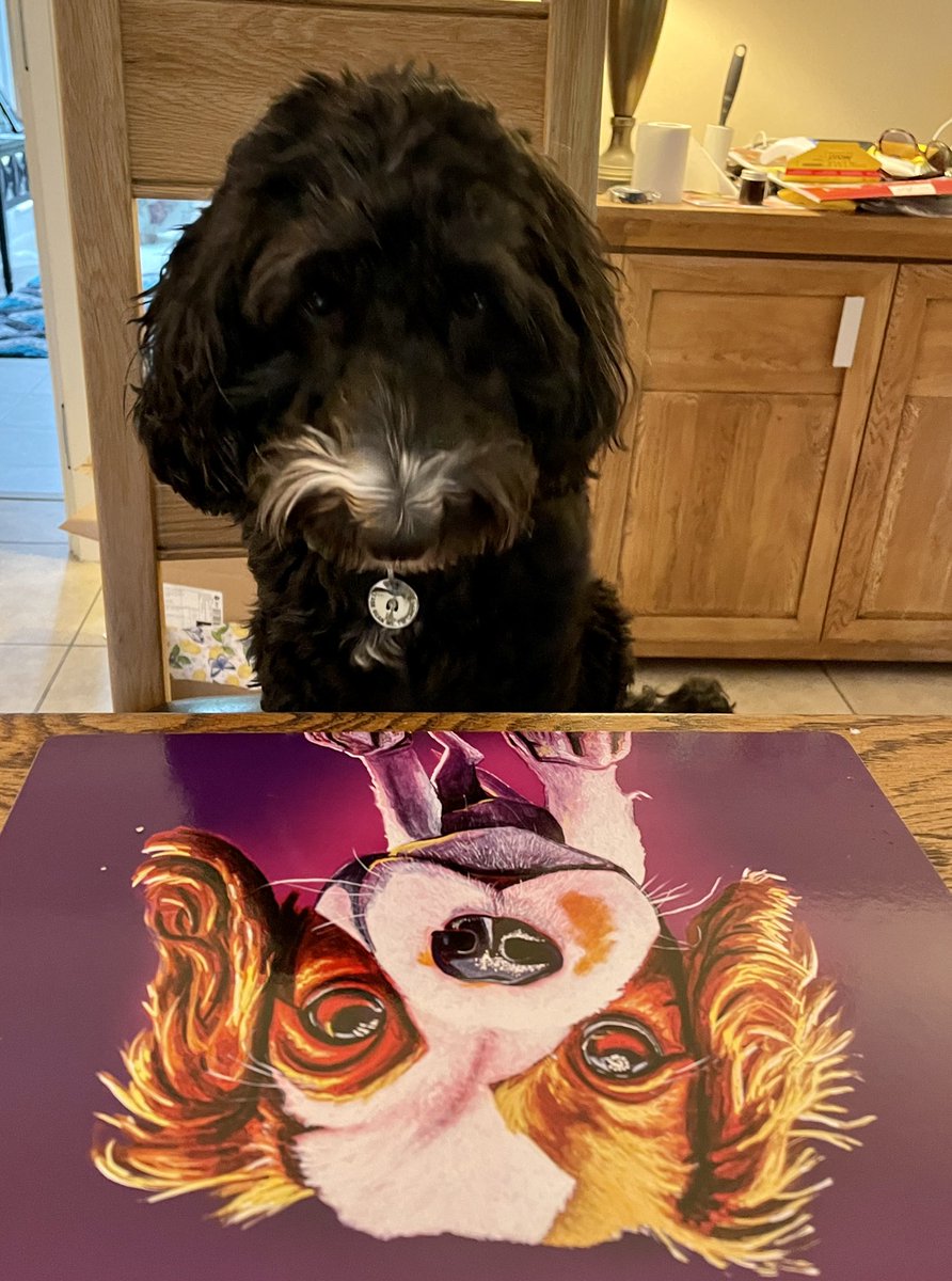 Eugene Murphy tweet media