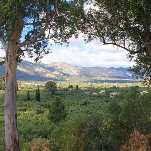 ZanteInformer's tweet photo. The stunning views of the plains and mountains of Zakynthos!
#zante #zakynthos #zante2022 #zanteisland #zanteofficial #zakynthos #zakynthosisland
#zakynthosgreece #zakynthosofficial
#zakynthosinformer #zakynthos2022 https://t.co/TcWlIP9uzj
