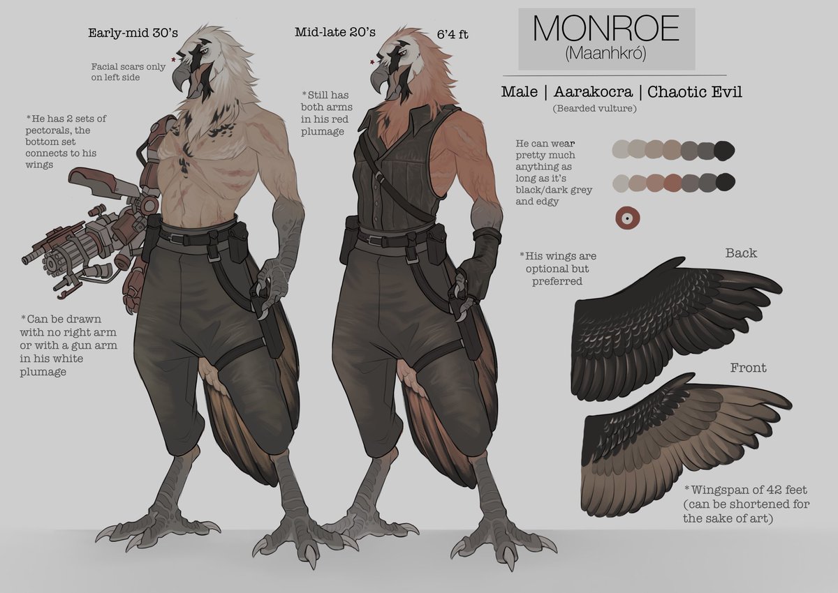 dnd bird man ref 4 artfight c: 