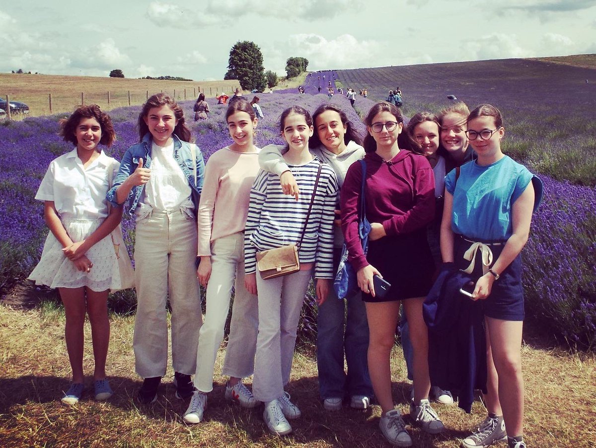 sfc_boarding's tweet photo. We enjoyed a Saturday trip to the lavender fields @hitchinlavender #boardingtrip #lavender #lavenderfields #saturdaytrip #iloveboarding #sfcboarding #sfcboardingfun https://t.co/trk41zvMU7