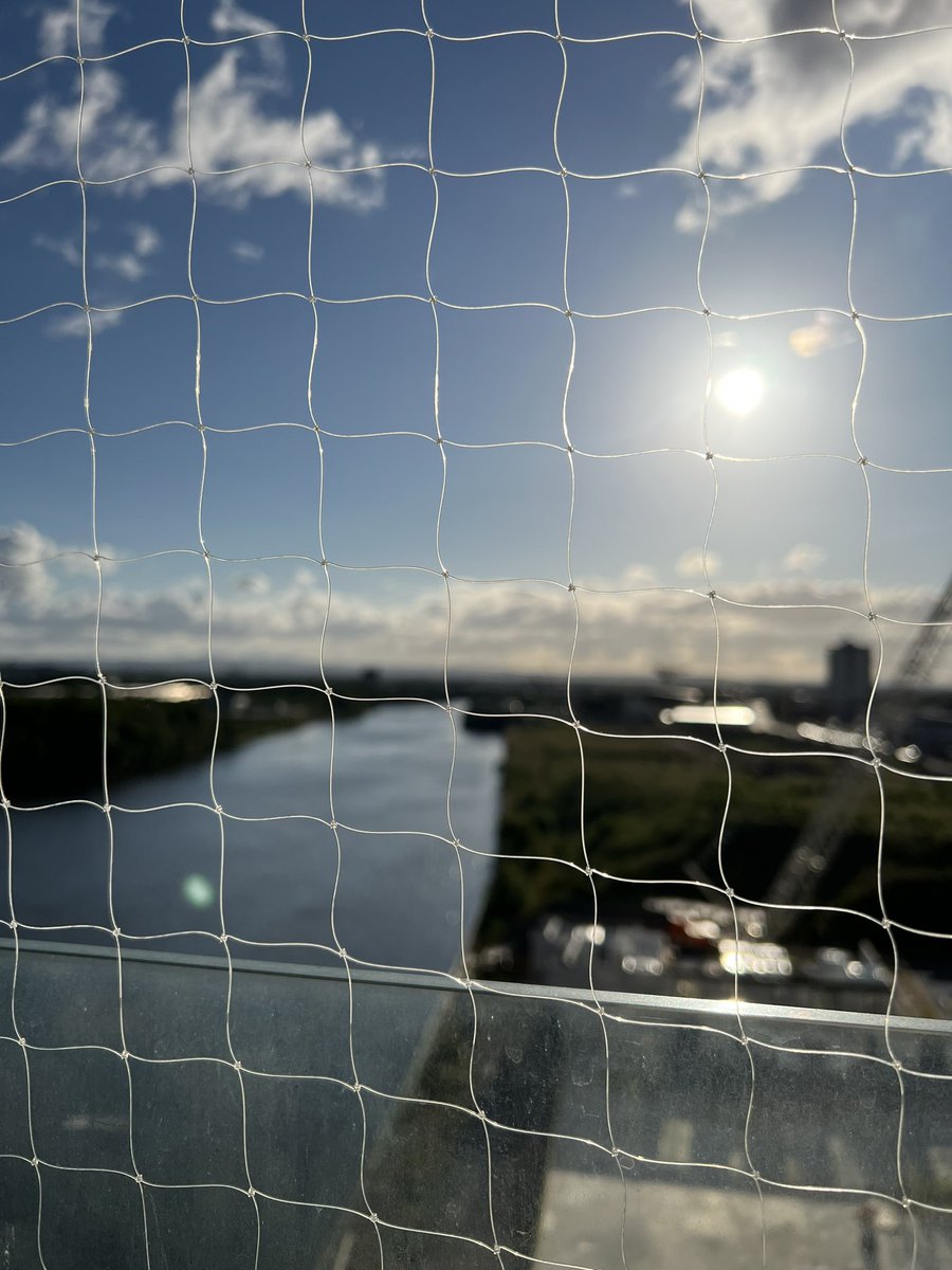 Cindy Wang tweet media