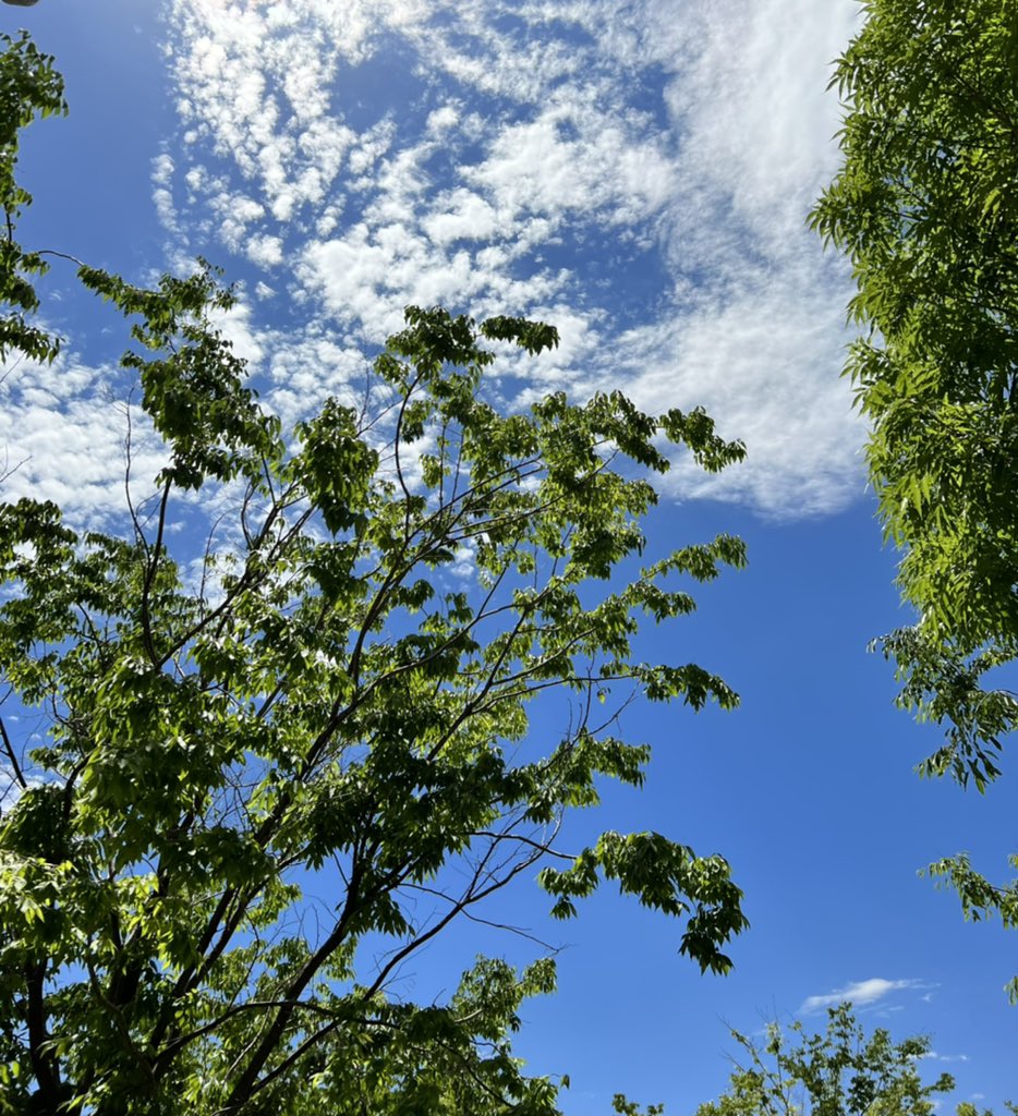 Laying on my porch, looking at the clouds