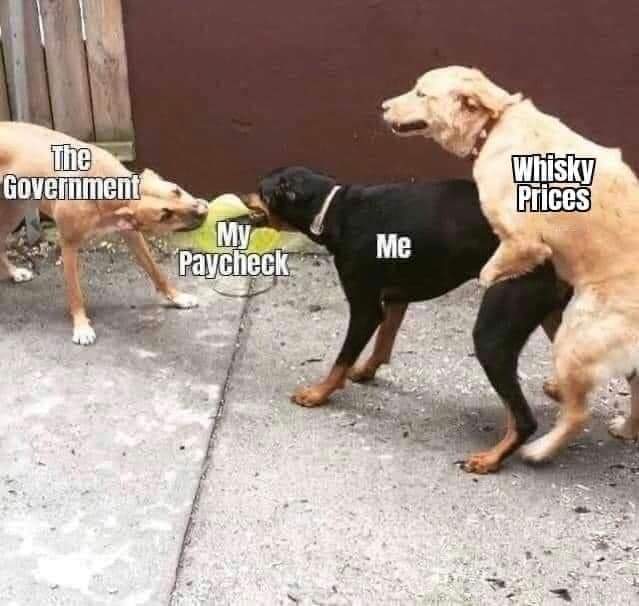 The struggle is real