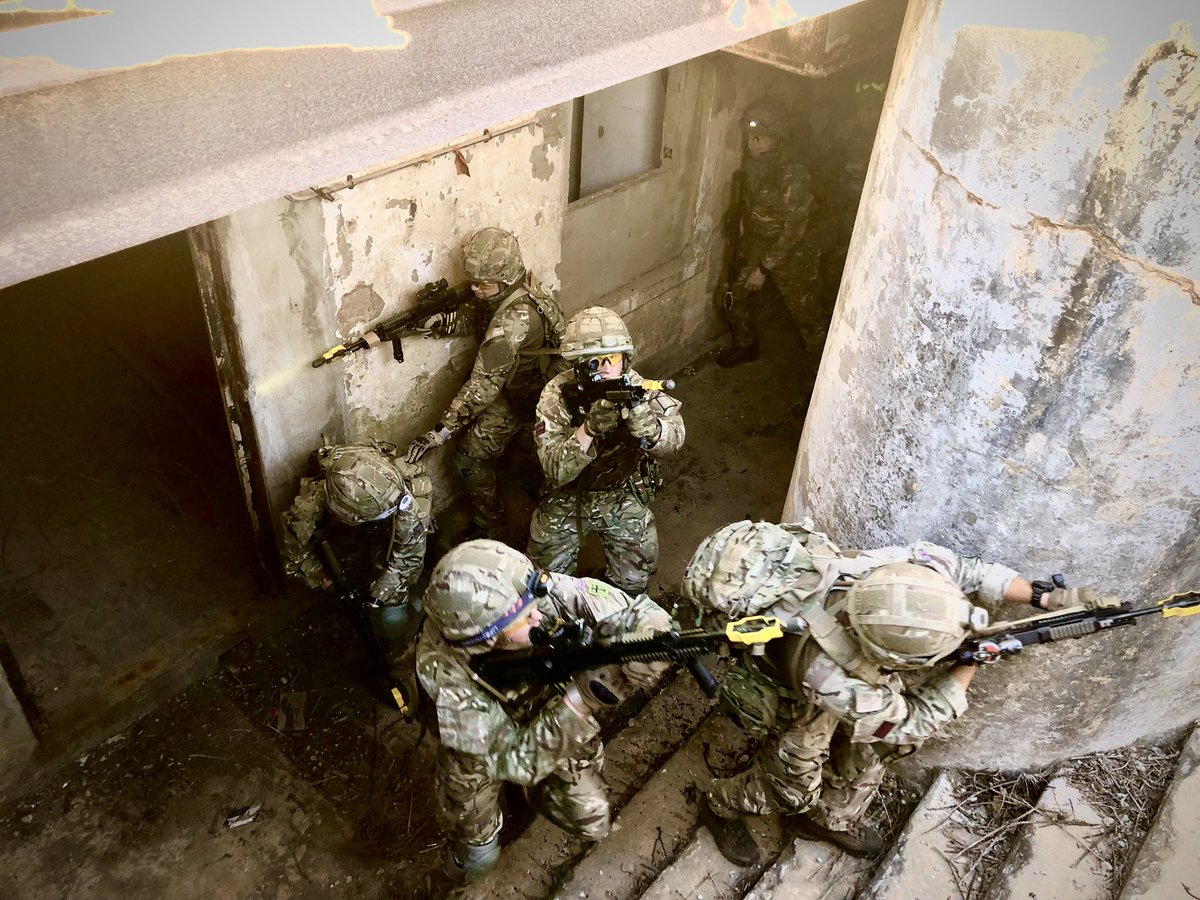 Digital Sapper tweet media