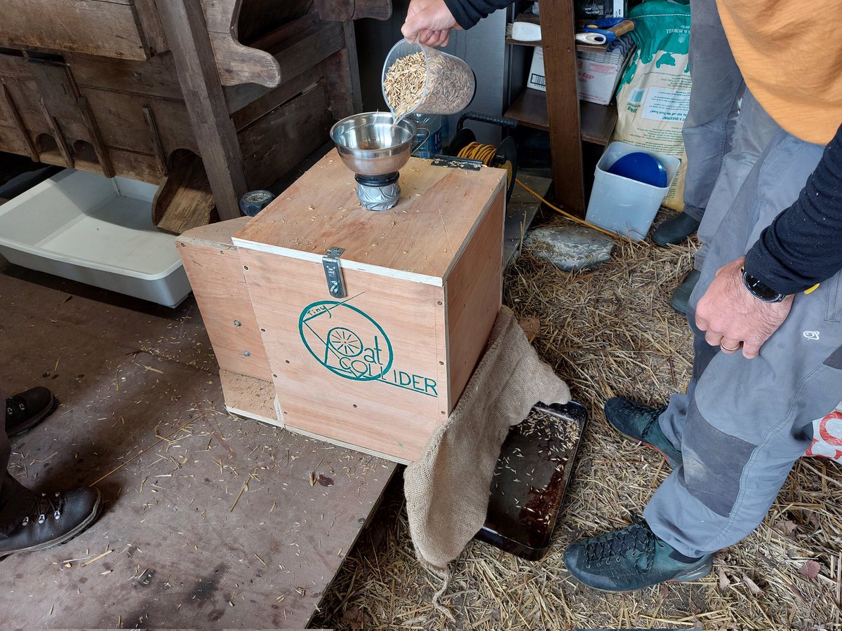 AlisonKarley's tweet image. The results are in - a smooth polyurethane impact ring in the Oat Collider gives the best results for dehulling, with steel a close second. Testing #croftinginnovations for small scale #graingrowing in Scotland at #Lismorebunkhouse @SEAMixtureS