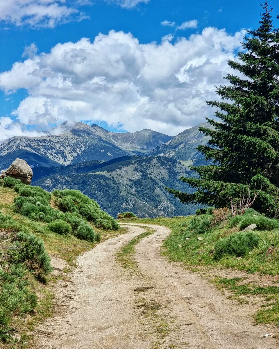 ricardrigall's tweet photo. Pedalant cap a Mentet amb el Canigó de fons. #canigó #mentet #mantet #conflent #bicicleta #btt #mtb #estiu2022 https://t.co/7RZmhITzsu