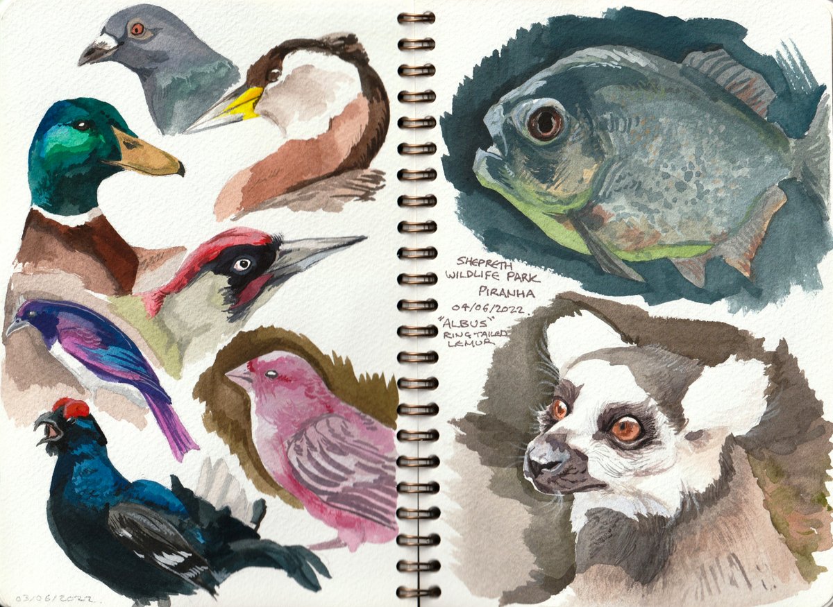 I usually reserve my sketchbook scans for my patr0ns but I like these ones far too much not to share!