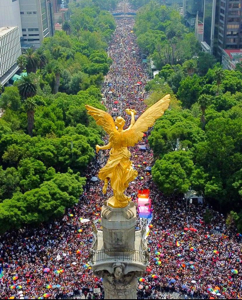 😱Se llena de colores  nuestro Ángel de la Independencia por el <a href="/lgbtq/">LGBTQ</a> 😱

📸 <a href="/ivan_cf__/">Ivan CF</a> 

#lgbtq🌈 #orgullo #cdmx_oficial #mexicocity #pride🌈 #pridemonth #mexicodesconocido #paseodelareforma #colors🌈