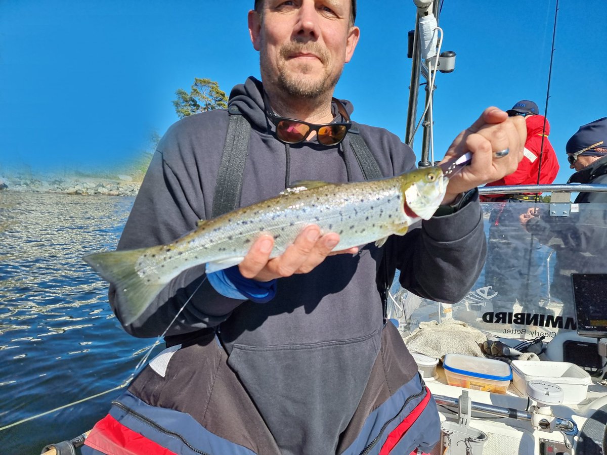 RapalaProguide's tweet image. Rapala Kallan är stekhet, bra fiske återigen! 
Nytt blogginlägg av Micke Puhakka

Tidigare i våras hade jag årets andra havsöringsguidning, och bra gick det då återigen! Det blev totalt 2 st havsöringar landade av 6 st...... Läs mer rapalaproguide.se/2022/06/rapala…