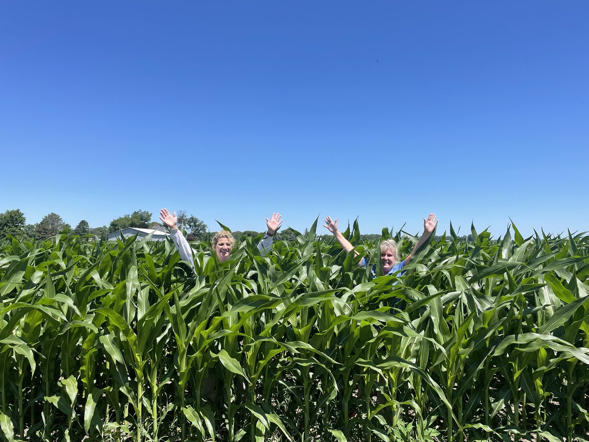 ValleyViewHC's tweet photo. in order for crops to be considered making good progress for the harvest season farmers use the rhyme "knee-high by fourth of July!" Well here in Fremont the crops are "forehead-high before fourth of July!" Thanks to all the Farmers who feed our community! 🚜 🌽🌱 https://t.co/bYd9cNIua1