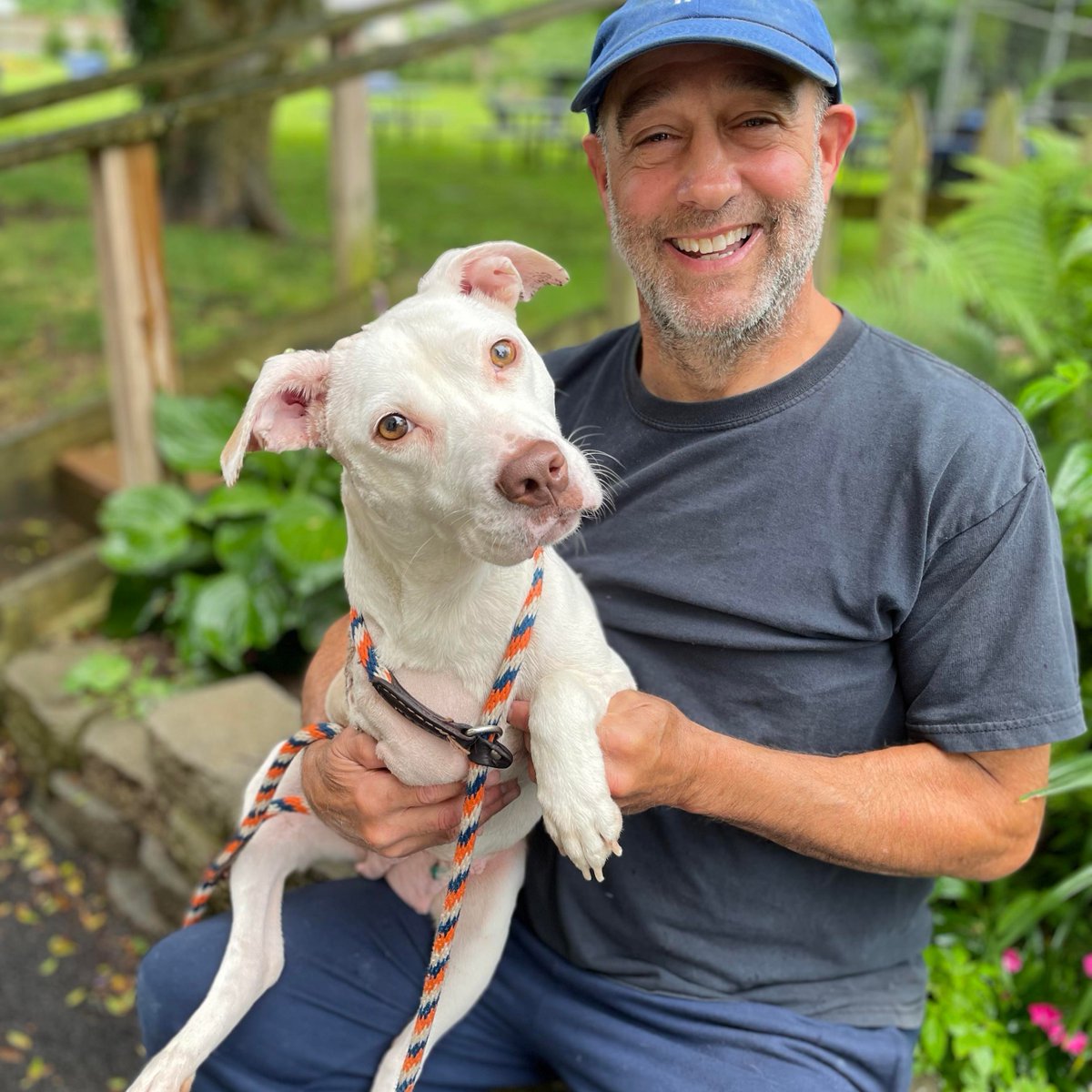 Providence_AC's tweet photo. Miracle, the little injured #ACCTtoPAC dog, instantly stole our hearts. She's recovering from her leg amp & is ready for a forever home where she can get some extra love & attention!
Interested in meeting her? Walk in to meet her or text our adoption team at 610-566-4575. https://t.co/3A7SUKwazd