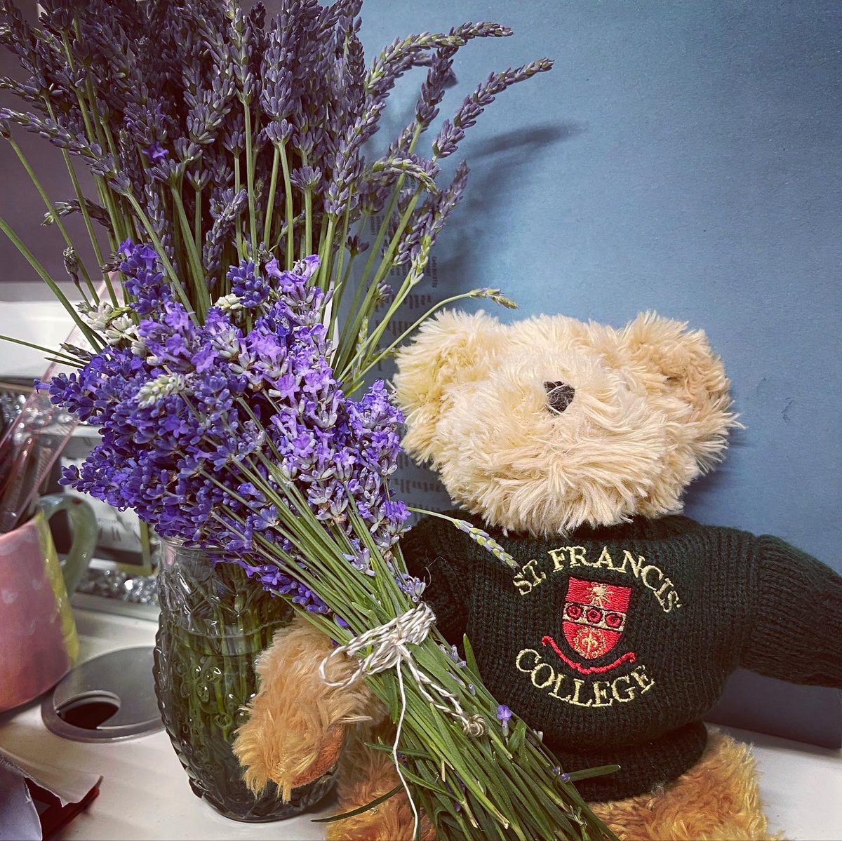 sfc_boarding's tweet photo. For those who didn’t go on the trip, they appreciated the lavender brought back from @hitchinlavender #boardingtrip #lavender #lavenderfields #saturdaytrip #iloveboarding #sfcboarding #sfcboardingfun https://t.co/rYUL9YVXwP