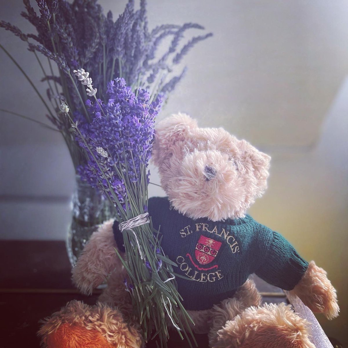 sfc_boarding's tweet photo. For those who didn’t go on the trip, they appreciated the lavender brought back from @hitchinlavender #boardingtrip #lavender #lavenderfields #saturdaytrip #iloveboarding #sfcboarding #sfcboardingfun https://t.co/rYUL9YVXwP