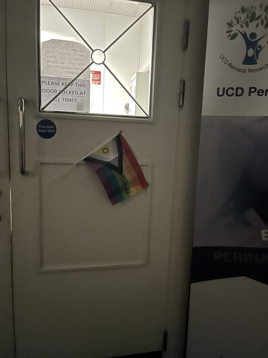 mairenihuigin's tweet photo. @_TheNMH @UCDPerinatal equally colourful & supportive of #PrideMonth #Pride2022 #notjustforjune https://t.co/dFdsGBFpex