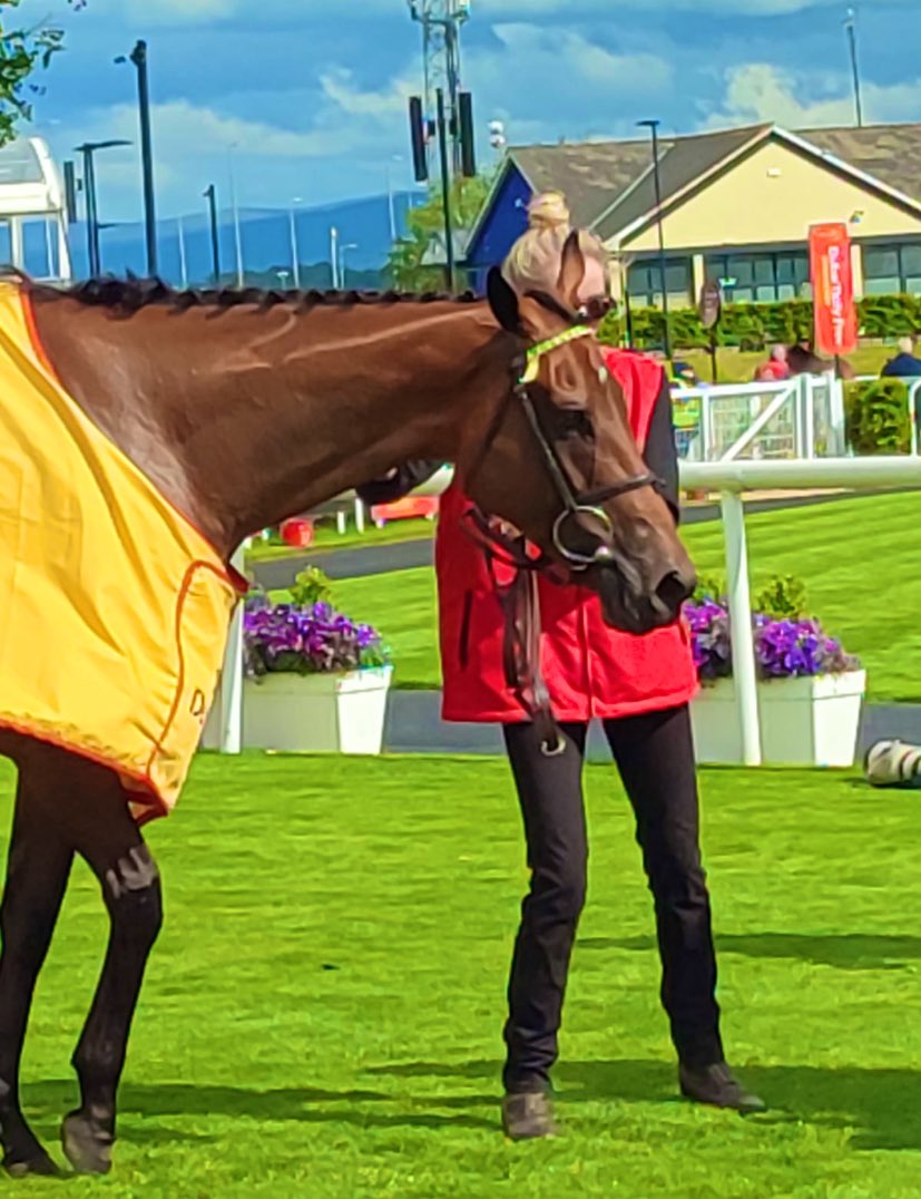 Dawnesme's tweet photo. Brilliant win Derby Day for team @MDOCallaghan @curraghrace @LeighRoche1992 Fastnet Crown
Absolute joy from connections
👑 😎🏇🏼🙌🏻🥳
#DDFIrishDerby #teammoc https://t.co/2hO1ackVs5