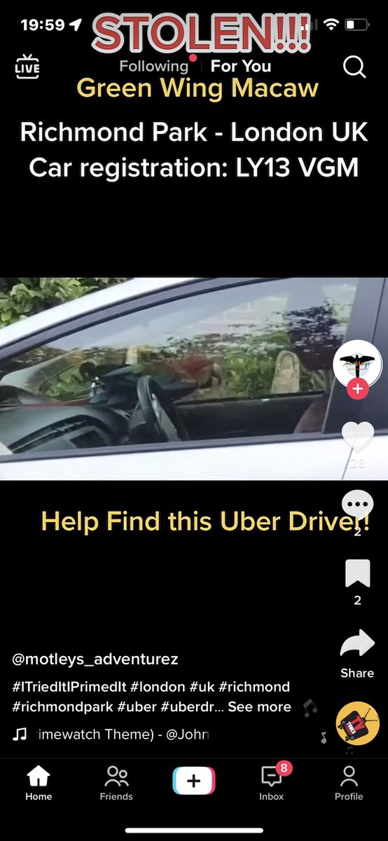rubin29312972's tweet photo. #uberrapeapp driver #steals a #parrot 
Do hope he’s not going to eat it @njjea 
Any comment @TfLTPH 
https://t.co/2wBfH8kMDW https://t.co/xhF2xlXP1u