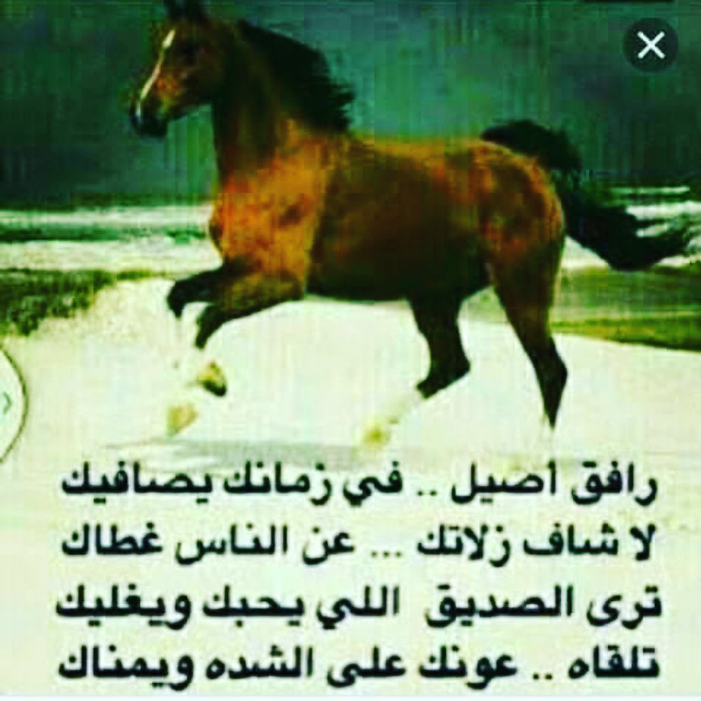 NeAra2w7GaZb4YQ's tweet photo. https://t.co/sIflLeYHUb