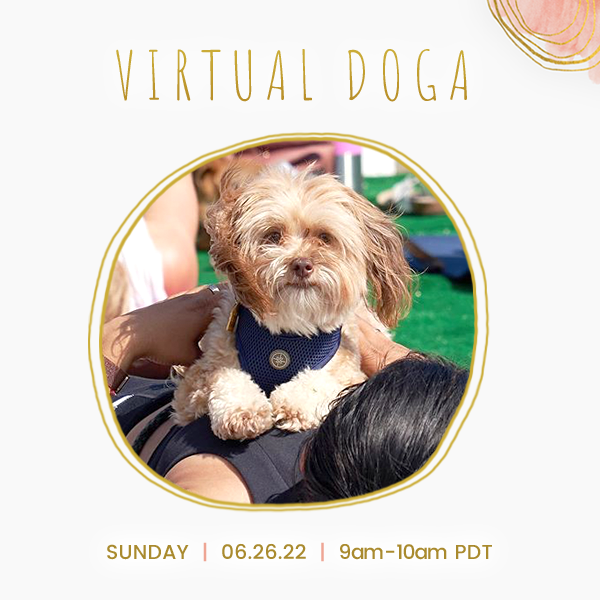 Solstice Doga Sunday on Zoom 💖🐶 

06/26/22
9am-10am pdt

please sign up before start time via the link below:

stephkang.as.me/virtualdoga

Sign up for our email list
- mailchi.mp/5a651e7b7bb5/e…