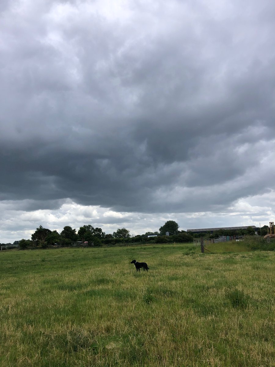 vet_vickyhudson's tweet photo. The ‘joy’ of living in the middle of a geographical weather doughnut …………….looking at everyone else’s rain 🙃
Really need the grass to grow soon…… is it too much to ask for a little precipitation?🌧
#sodry #pleaserain #Farming https://t.co/5mvV3iDBAm