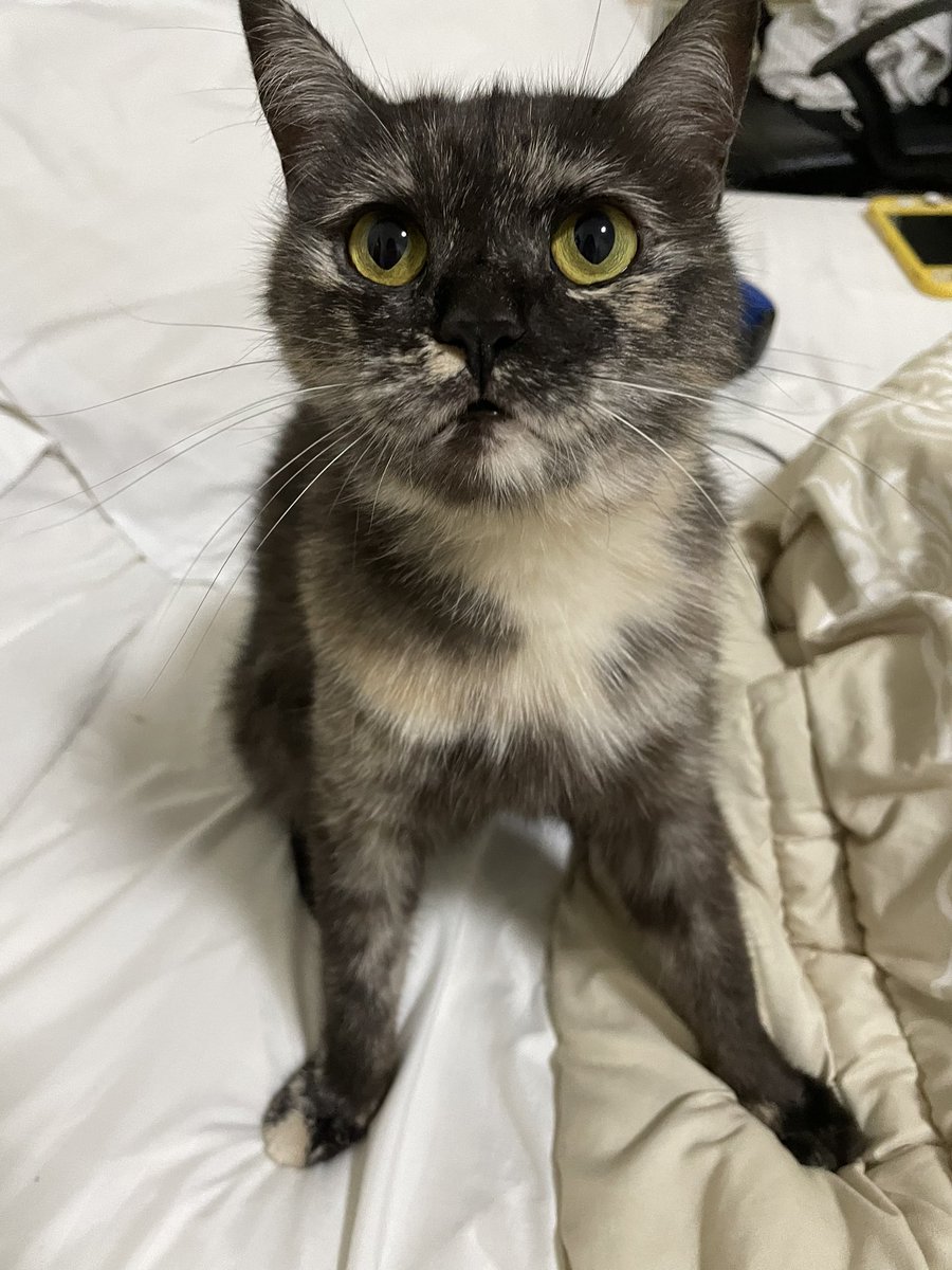 aboute to beat youre ass