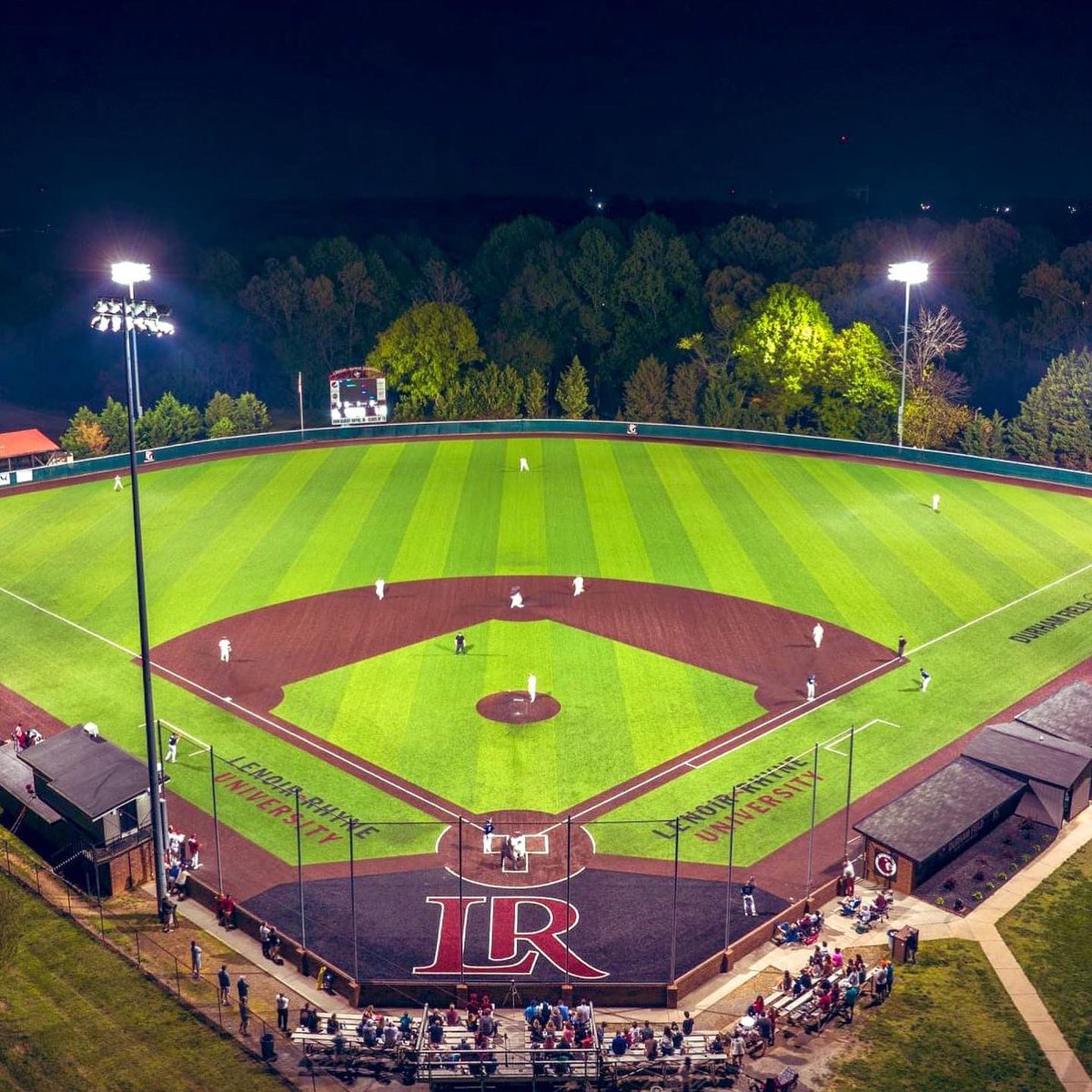 Cole Nelson tweet media