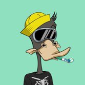 Big Daddy Duck 🦆 tweet media