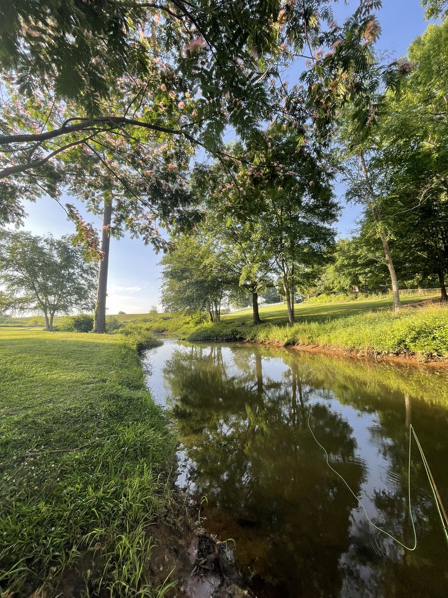 thenextjuan's tweet photo. Georgia 😍 https://t.co/hzxgS5LWOk