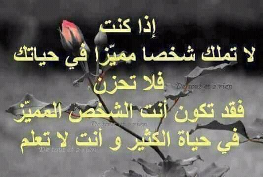 ملك الاحساس (@ameralshk1979) on Twitter photo 