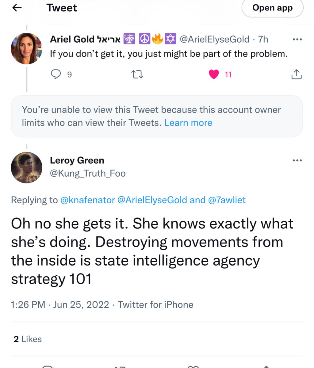 There’s finally an anti-Jewish line Ariel seems not to want to cross. Her previous cohorts reprimanded her as “endangering Palestinian Organizations,” for criticizing the Mapping Project’s hit list. Twisted. Yes-I ❤️ @ArielElyseGold tweet. Who wouida thunk that’d ever happen?