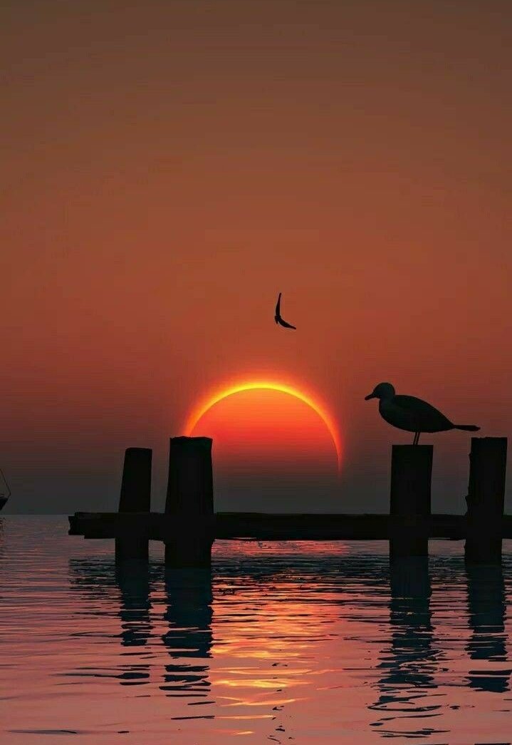 TLeoni311's tweet photo. Peaceful night for all 🌙 https://t.co/mVqScUkfdj
