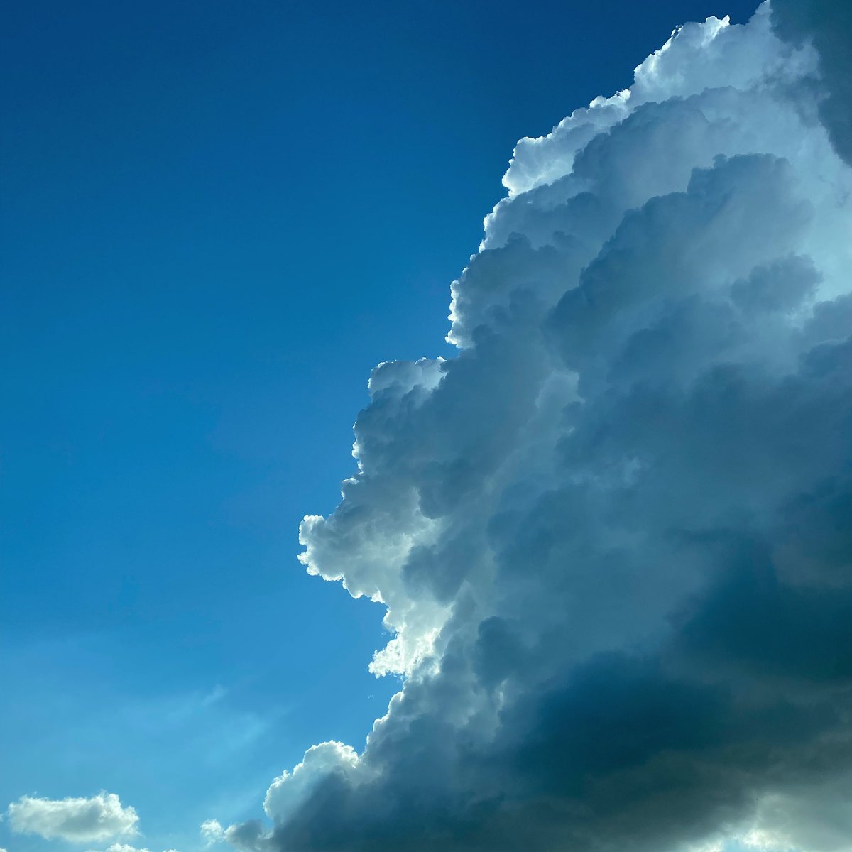 krista0writes's tweet photo. Look up!
I think I’ll write this into a future story
#amwriting #cloudwalking #facesinthesky #clouds https://t.co/dBpJFUTbPX
