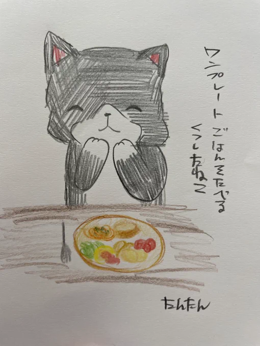 ワンプレートでごはんを食べるくつしたねこ

#イラスト #猫 