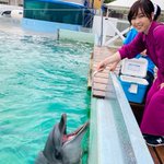 ONE-Jのツイート画像