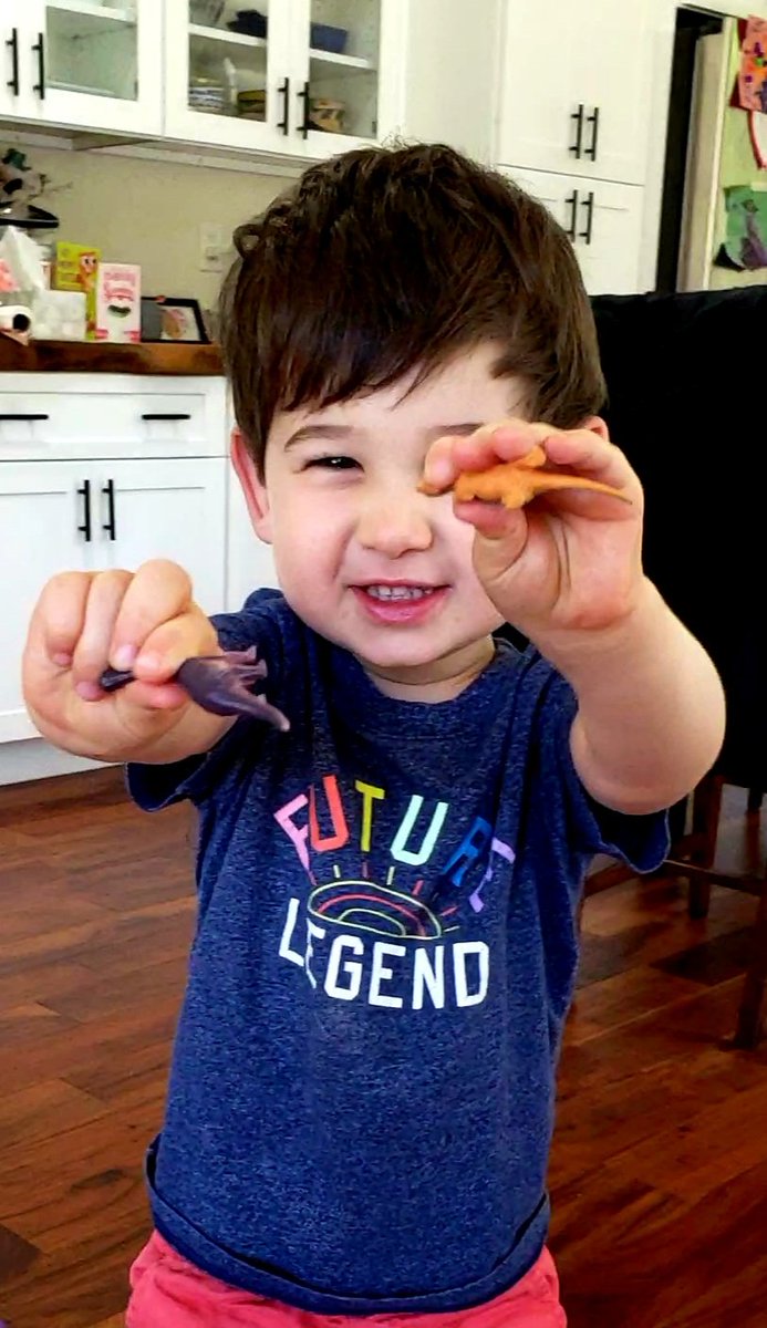 Big thanks to <a href="/HealthyDavis/">Healthy Davis Together</a> for the toy dinosaurs at the Veteran's Memorial testing site! Dom LOVES getting tested because everyone is so friendly and he always leaves with a sticker/goodie!😁