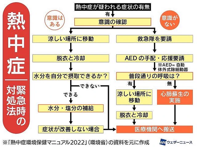 覚えておこう！『熱中症』が疑われるときに取るべき行動