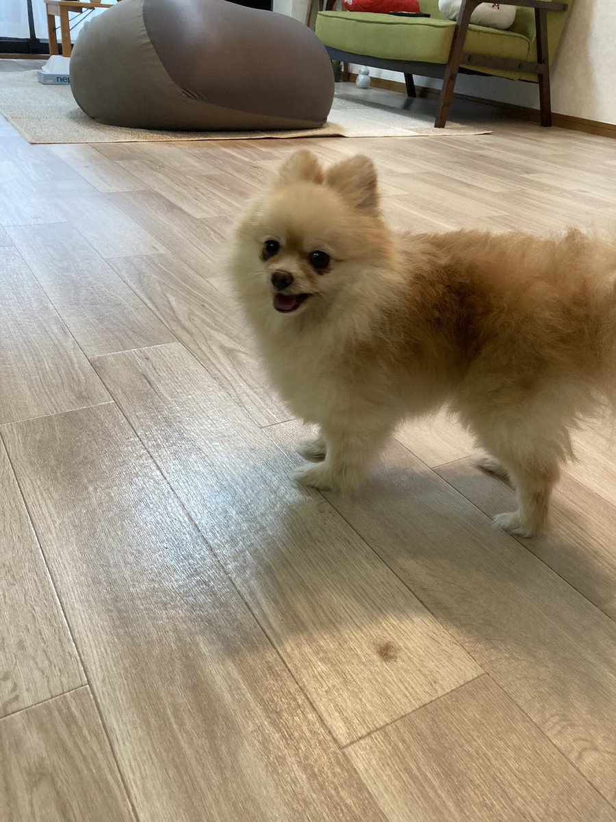 こまこ tweet media