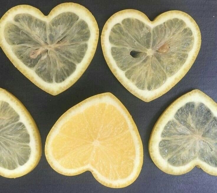 _softbites's tweet image. 