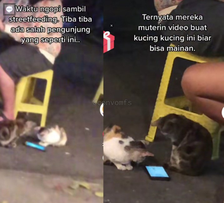convomfs's tweet photo. 🤍 lucu banget 😭 https://t.co/vyt3ZOkA9z