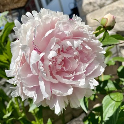sdpatel2000's tweet photo. #NewProfilePic https://t.co/XLH2KqT9lv