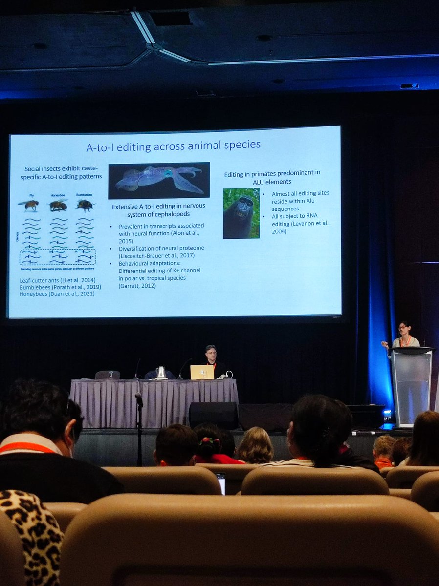 Zebrafish Developmental Genomics Lab tweet media