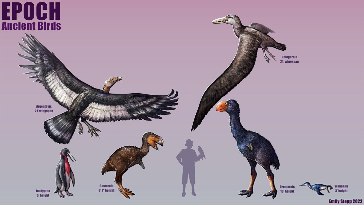 Emily_Art's tweet photo. Have some bird art. https://t.co/lewHgKQIFs