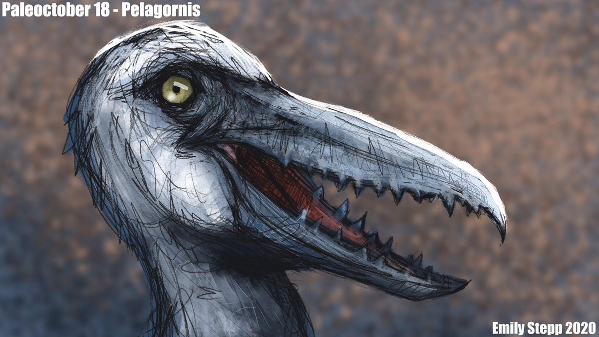 Emily_Art's tweet photo. Have some bird art. https://t.co/lewHgKQIFs