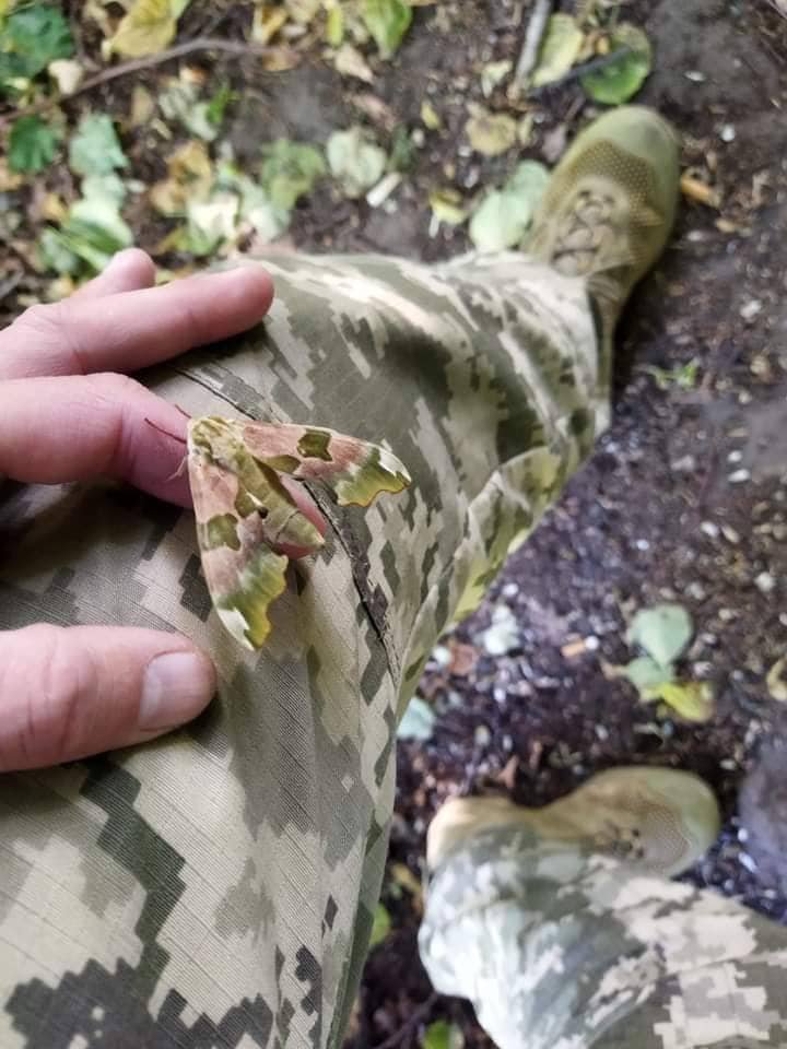 Even nature plays along to help Ukrainian defenders win this war! 😏
 
Photo: cgtr/Twitter