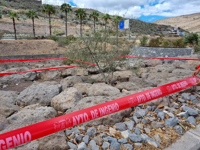 DefensaPaisaje's tweet image. ¿Un circuito de trial sobre las piedras del LAGARTARIO de Los Alisios?
Con @lpaurbanismo @Javier_Doreste @AyuntamientoLPA @AugustoHidalgo_ 
#SíSePuede

Pd.- El Lagarto gigante de Gran Canaria es "ESPECIE PROTEGIDA", pero ya sabemos que en GC no sirve de nada estar protegido!