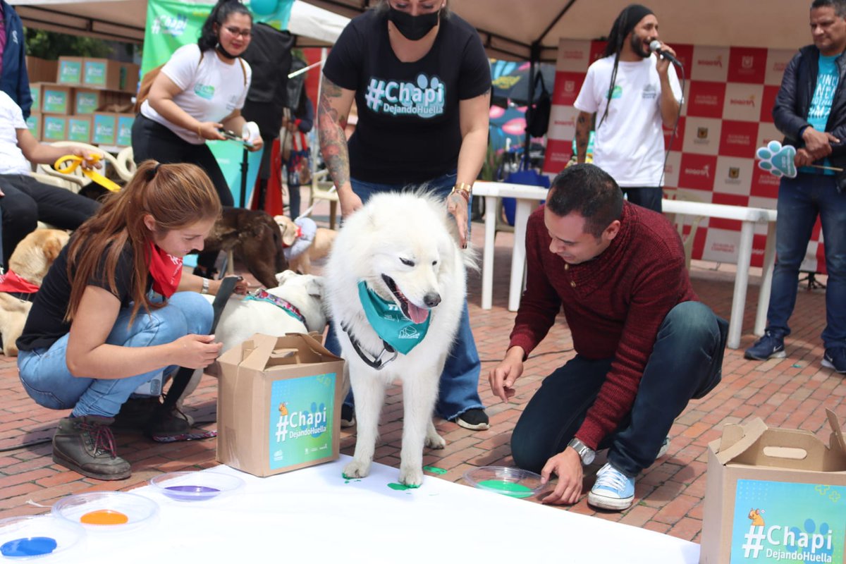 En una solo foto, la felicidad de trabajar por nuestros animalitos. #Chapidejandohuella