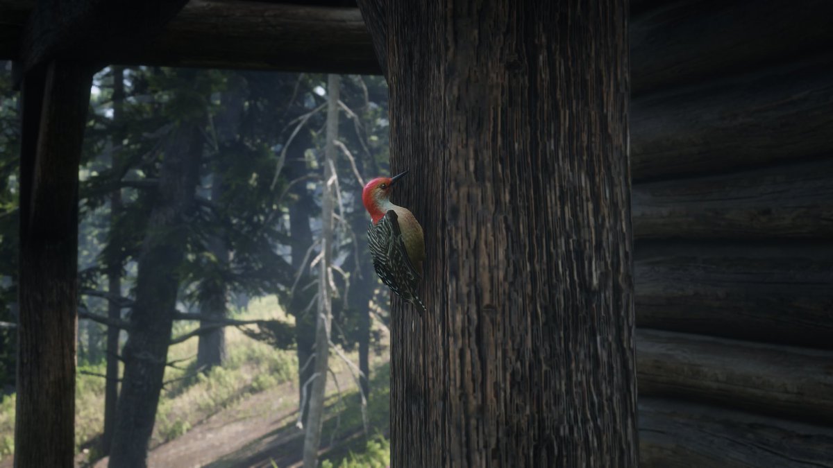 RockstarGuides's tweet photo. https://t.co/5SG3rpNvZK