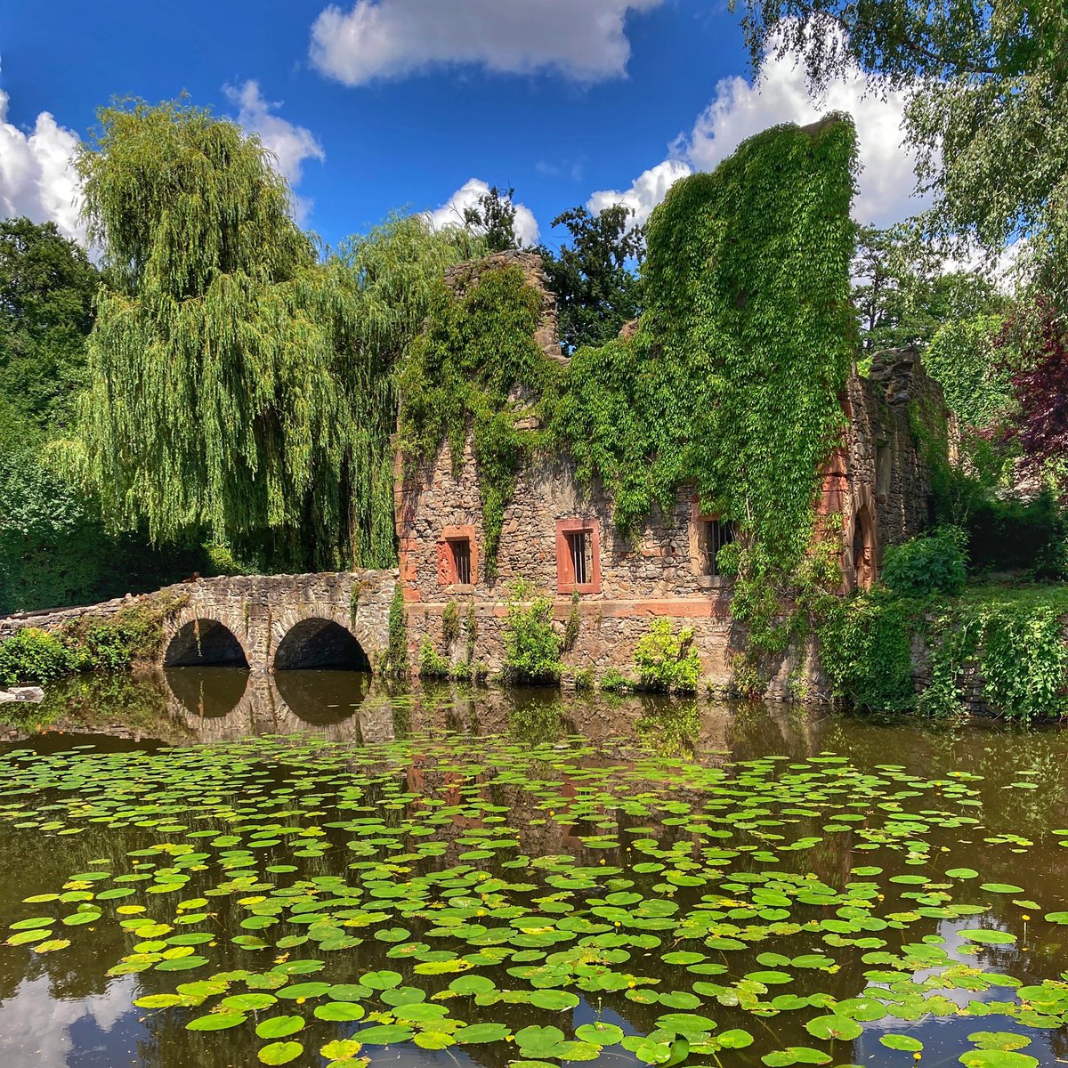 Looking at beauty in the world, is the first step of purifying the mind. 
.
.
.
#germany #germany🇩🇪 #aschaffenburg #aschaffenburg #nature #toptags #nature_lovers #nature_brilliance #ff_nature #naturephotography #natureshots #outdoors #nature_good #getoutside #earthgallery