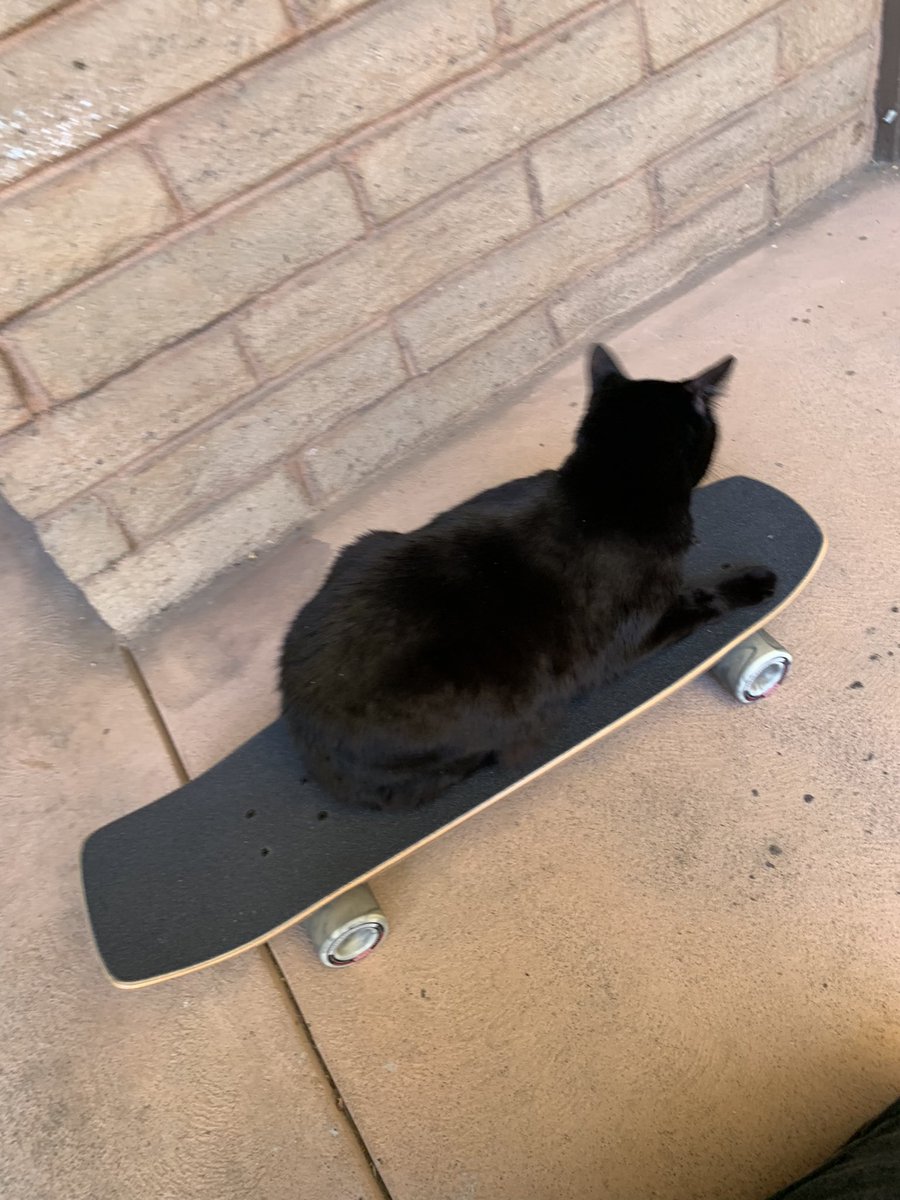 tyloretalks's tweet photo. today he learns https://t.co/4Pp1dIBU3Y