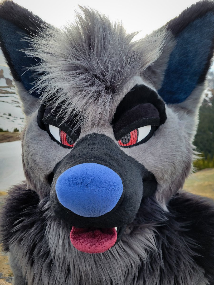 RookaRoo tweet media